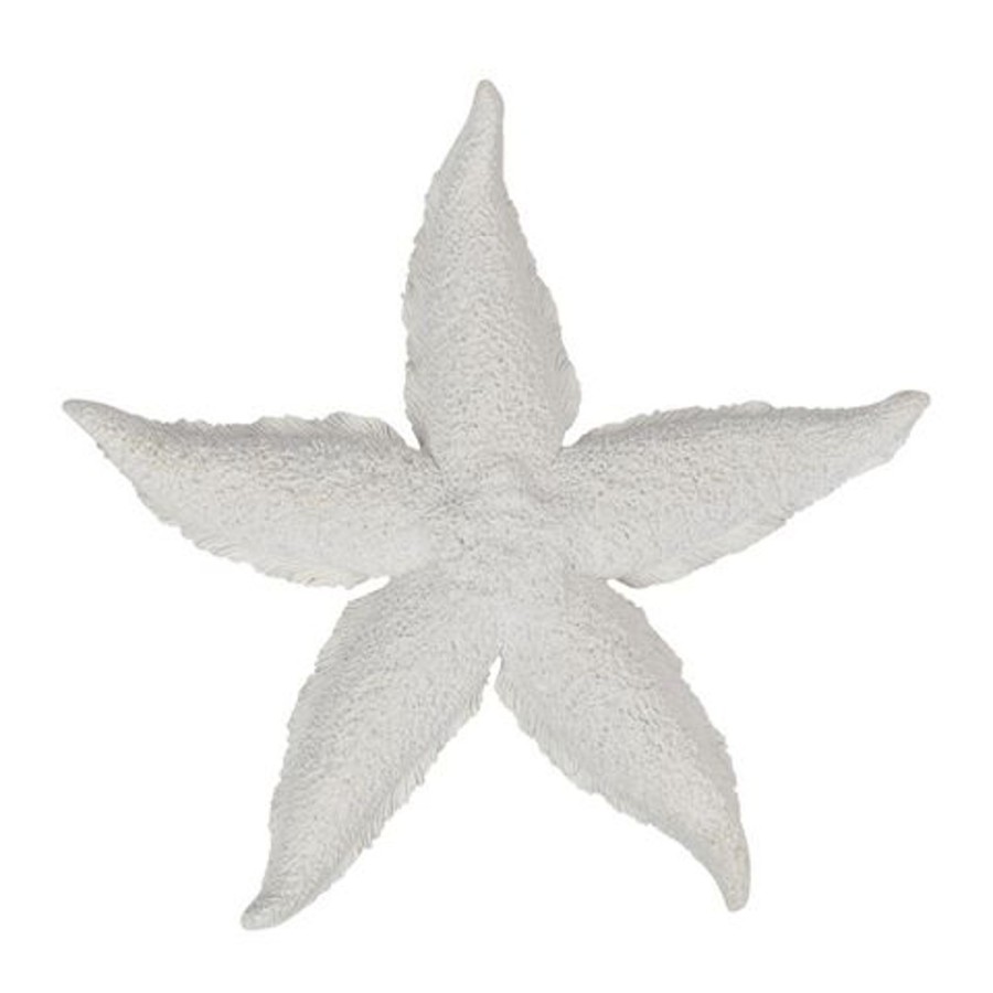 Homewares Coast to Coast Home | Ctc-Starfish Resin Sculpture