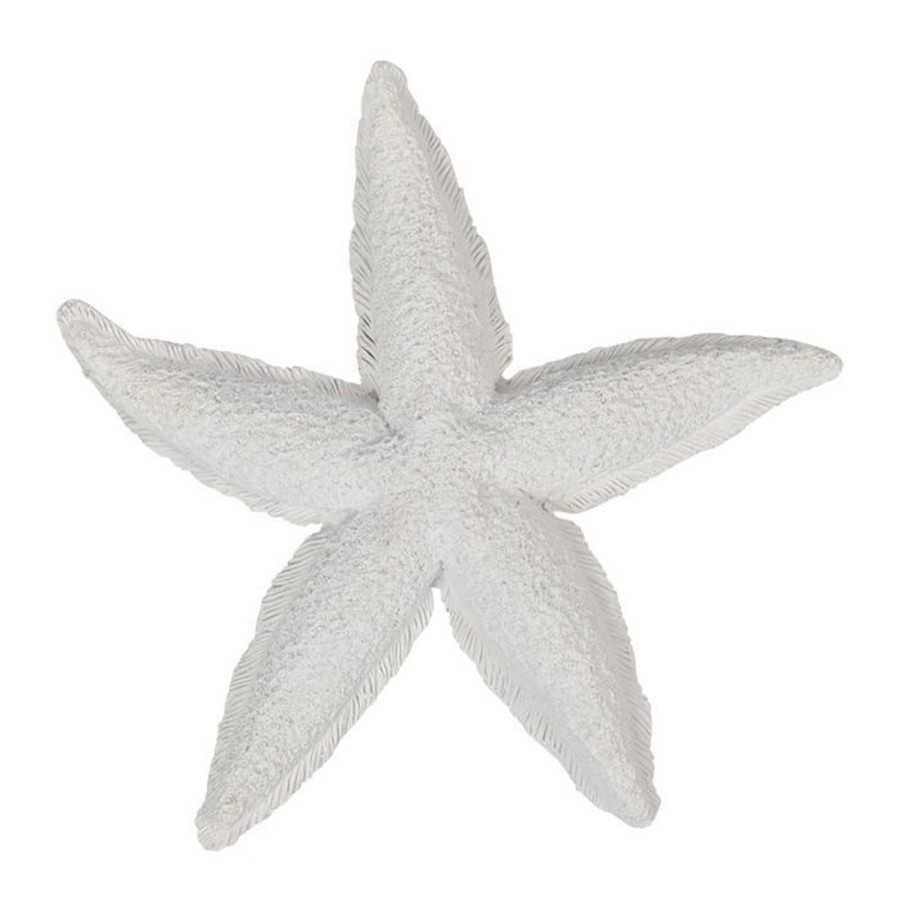 Homewares Coast to Coast Home | Ctc-Starfish Resin Sculpture