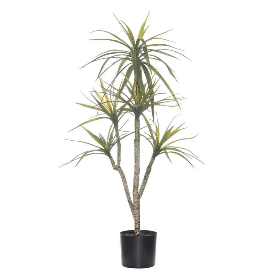 Homewares Amalfi | Rogue-Potted Yucca Tree