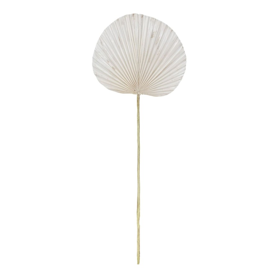 Homewares Amalfi | Deco Fan Palm-White