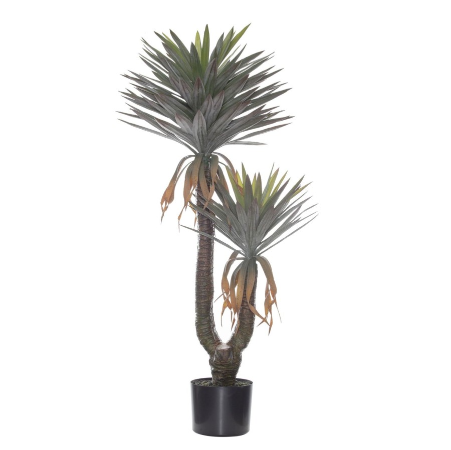 Homewares Amalfi | Rogue-Yucca Gloriosa Plant