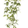 Homewares Amalfi | Hanging Vine-Clematis