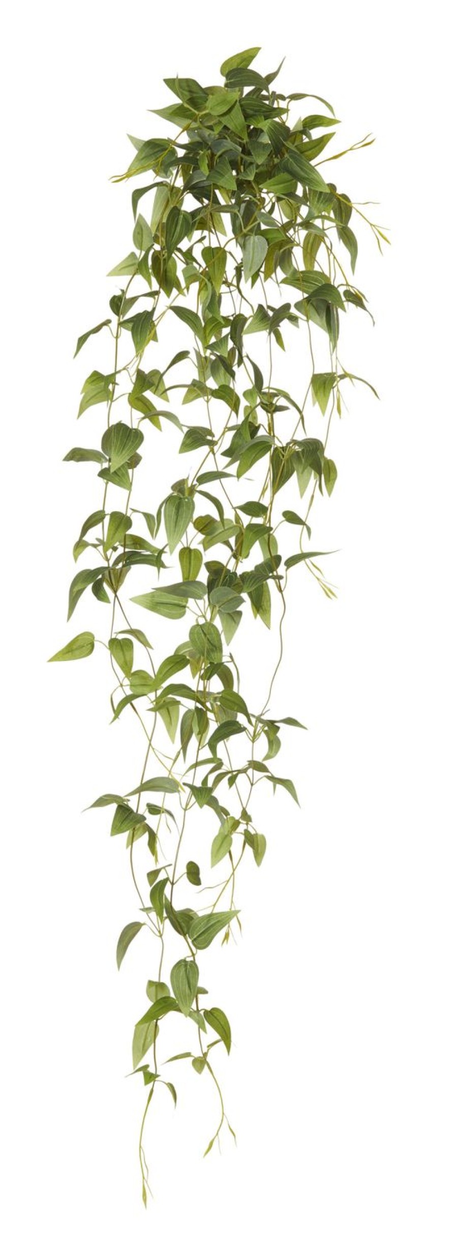 Homewares Amalfi | Hanging Vine-Clematis