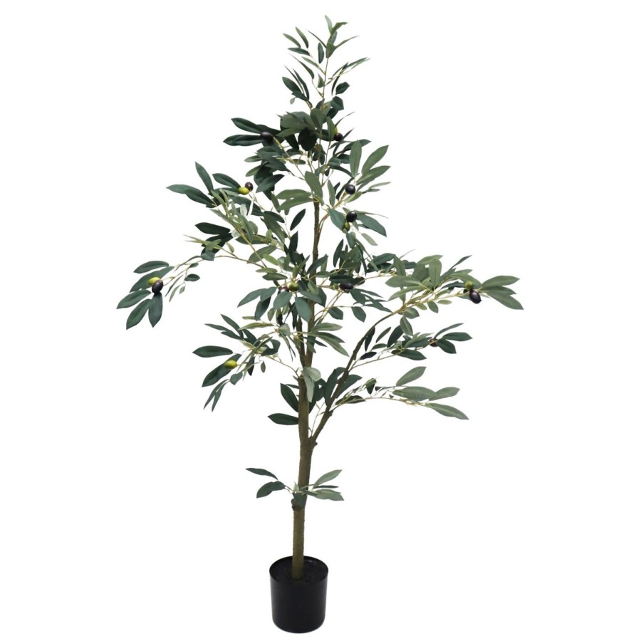 Homewares NF Agencies | Potted Olive Tree-122Cm