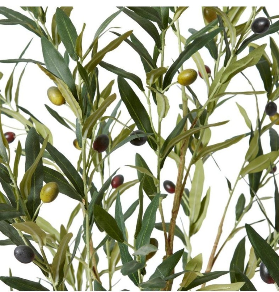 Homewares NF Agencies | Potted Olive Tree-122Cm