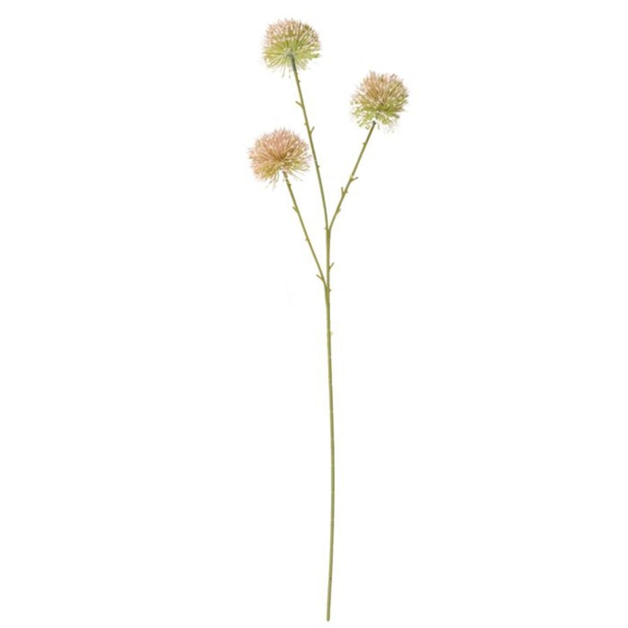 Homewares Coast to Coast Home | Ctc-Dandelion Stem-Faux