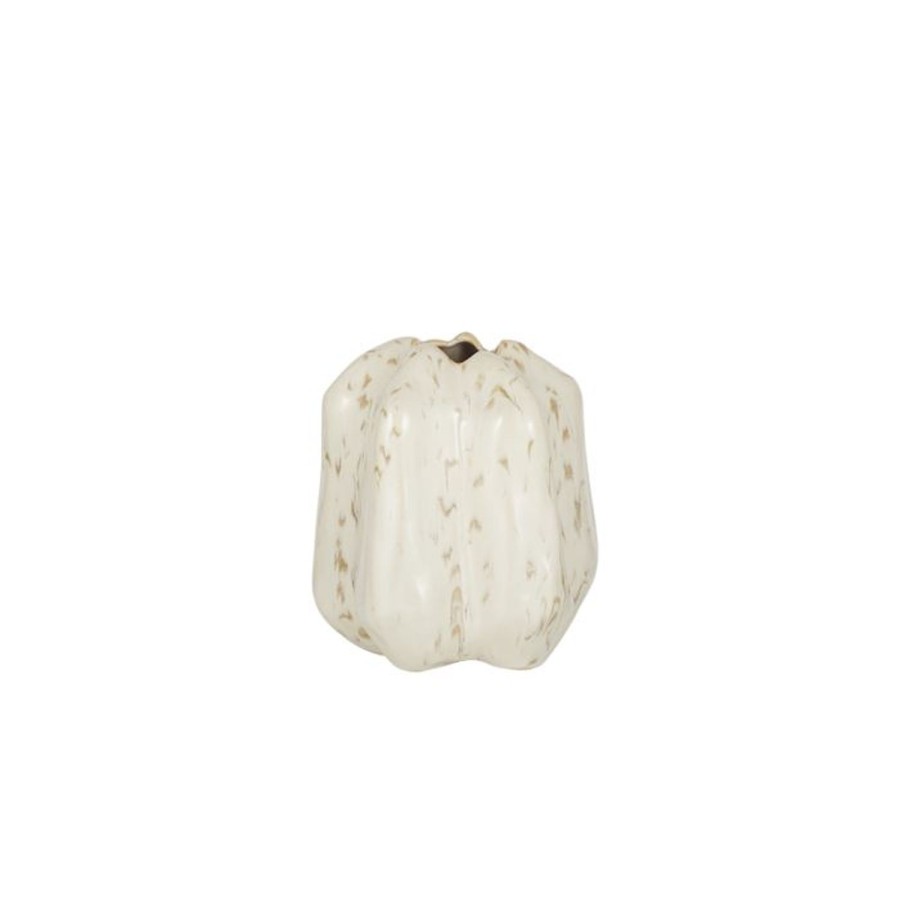 Homewares Coast to Coast Home | Ctc-Yael Ceramic Vase-Ivory